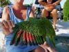 110206_beach_key_west07