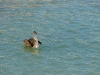 110206_beach_key_west12