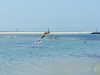 110206_beach_key_west13