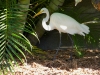 110206_beach_key_west18_0