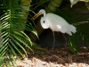 110206_beach_key_west19
