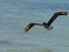 110206_beach_key_west20