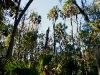 110209_blue_springs20