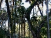 110209_blue_springs21