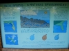 110209_blue_springs23