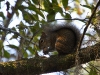 110209_blue_springs24