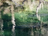 110209_blue_springs35