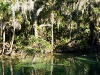 110209_blue_springs43