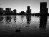 110211_orlando_skyline18_0
