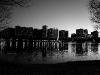 110211_orlando_skyline25