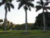 110215_ringling_park06_0