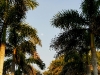 110215_ringling_park22
