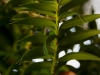 110215_ringling_park50