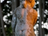 110215_ringling_park55
