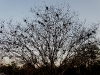 110215_ringling_park62