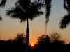 110215_ringling_park63