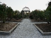 110215_rose_garden01